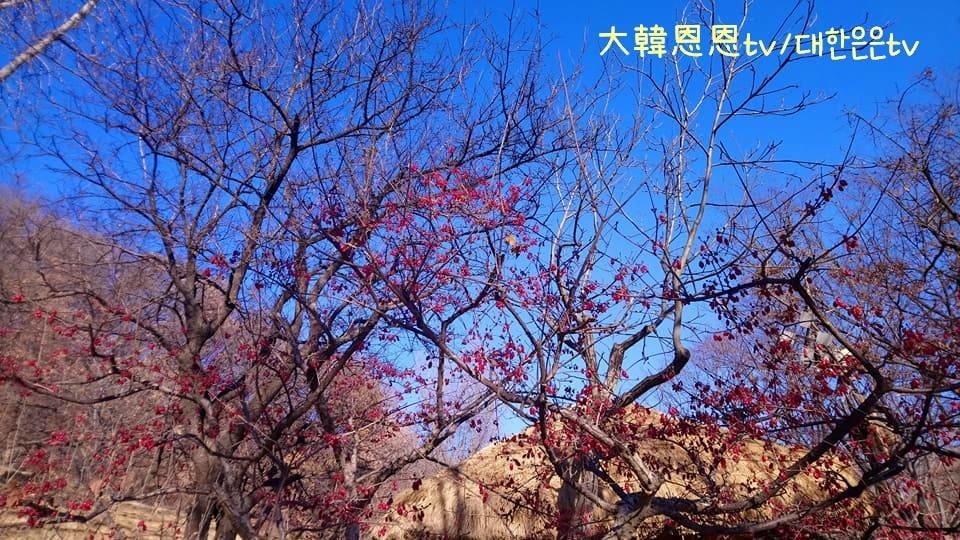 投影片18.jpg