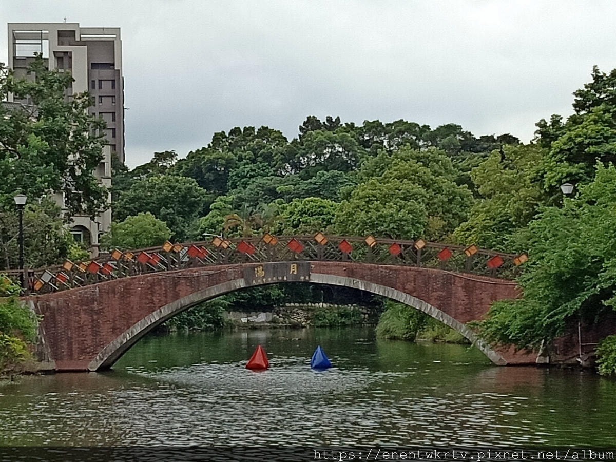 桃園住宿 美食 行程懶人包 悠悅汽車旅館。蛋寶生技不老村。鍾 桃園住宿 美食 行程懶人包 悠悅汽車旅館。蛋寶生技不老村。鍾