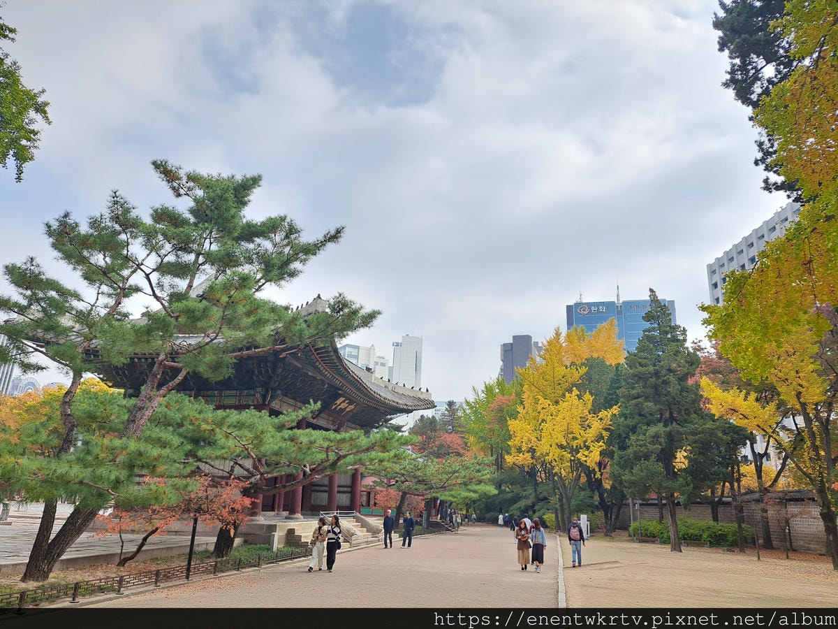 【首爾自由行丨韓國旅遊】韓國秋天限定美景。秋季賞楓景點丨德壽 【首爾自由行丨韓國旅遊】韓國秋天限定美景。秋季賞楓景點丨德壽