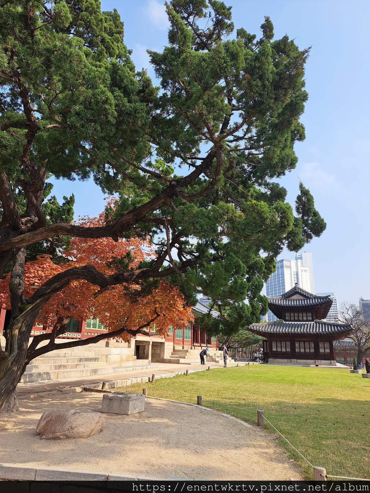【首爾自由行丨韓國旅遊】韓國秋天限定美景。秋季賞楓景點丨德壽 【首爾自由行丨韓國旅遊】韓國秋天限定美景。秋季賞楓景點丨德壽