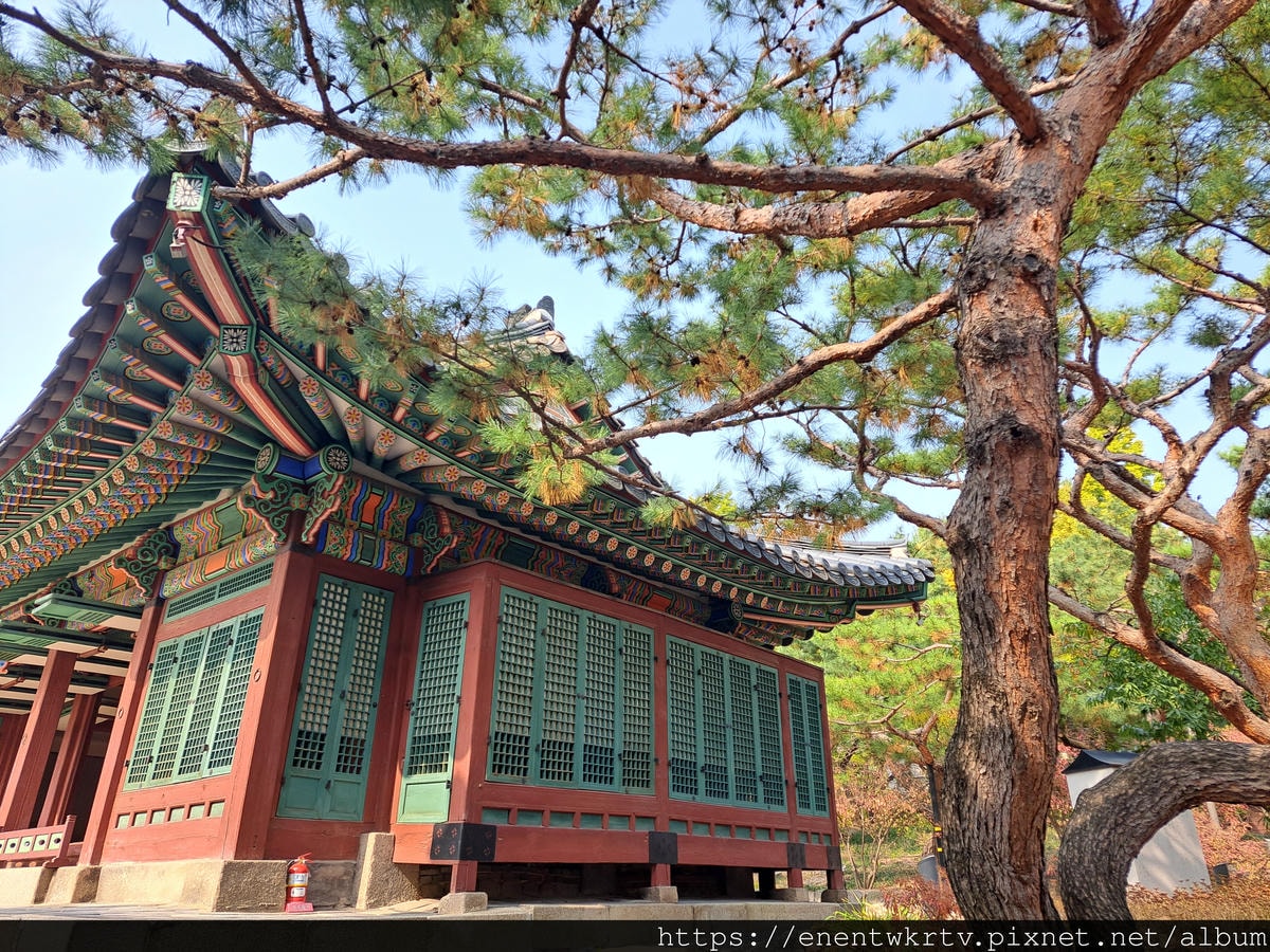 【首爾自由行丨韓國旅遊】韓國秋天限定美景。秋季賞楓景點丨德壽 【首爾自由行丨韓國旅遊】韓國秋天限定美景。秋季賞楓景點丨德壽