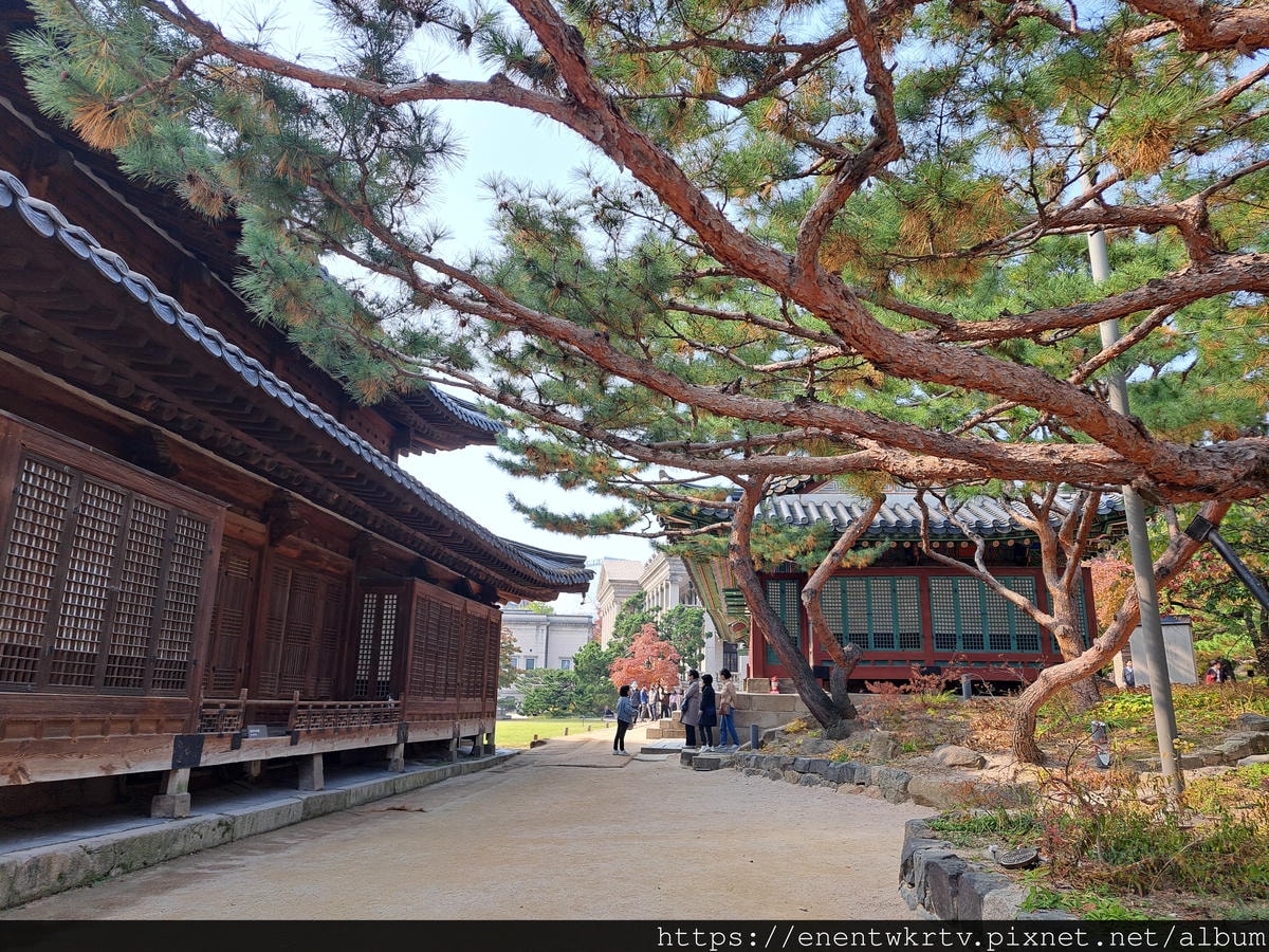 【首爾自由行丨韓國旅遊】韓國秋天限定美景。秋季賞楓景點丨德壽 【首爾自由行丨韓國旅遊】韓國秋天限定美景。秋季賞楓景點丨德壽