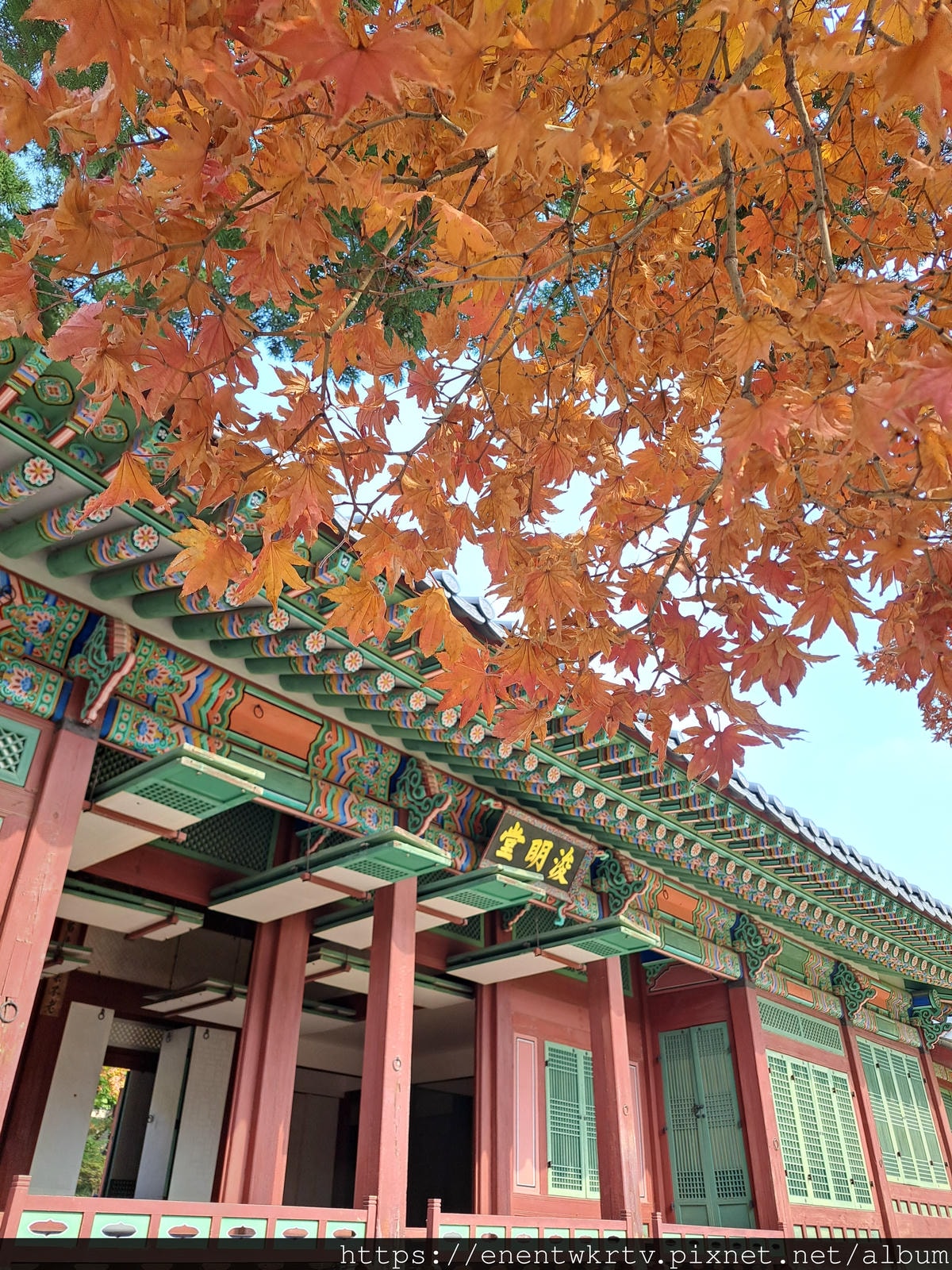 【首爾自由行丨韓國旅遊】韓國秋天限定美景。秋季賞楓景點丨德壽 【首爾自由行丨韓國旅遊】韓國秋天限定美景。秋季賞楓景點丨德壽
