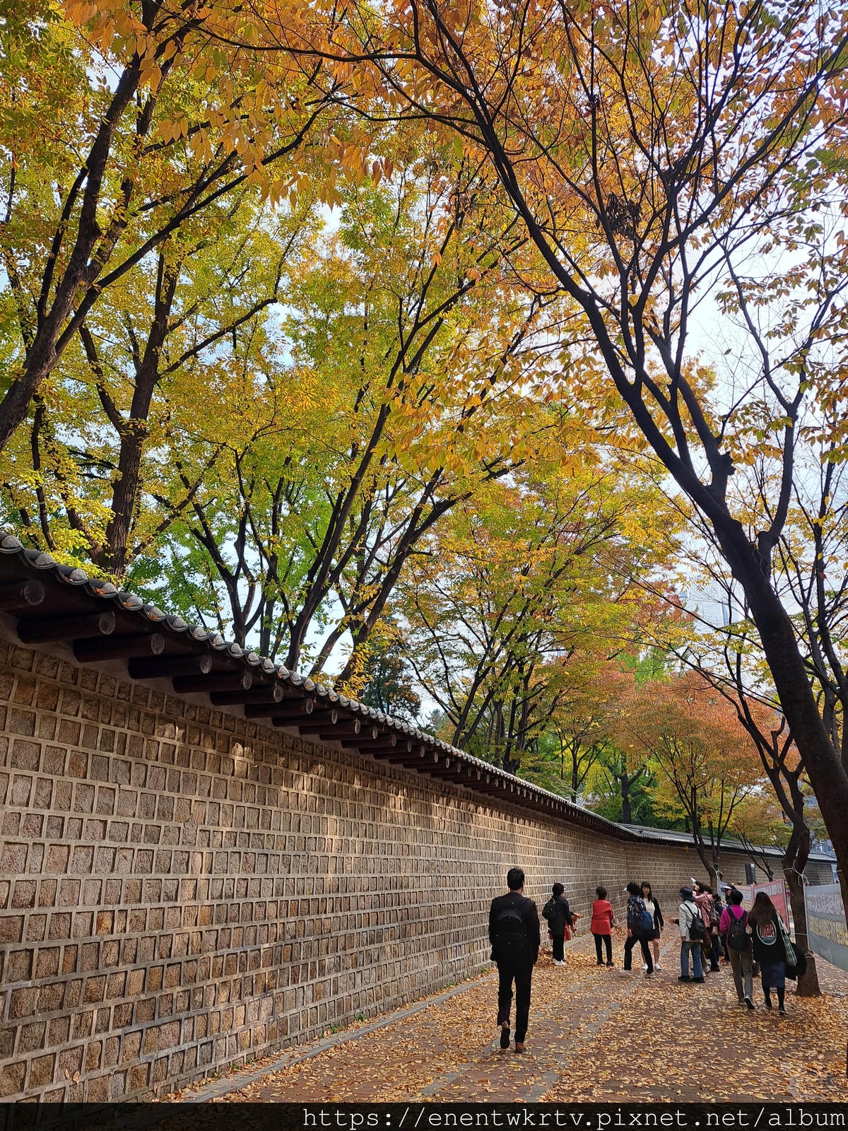 【首爾自由行丨韓國旅遊】韓國秋天限定美景。秋季賞楓景點丨德壽 【首爾自由行丨韓國旅遊】韓國秋天限定美景。秋季賞楓景點丨德壽