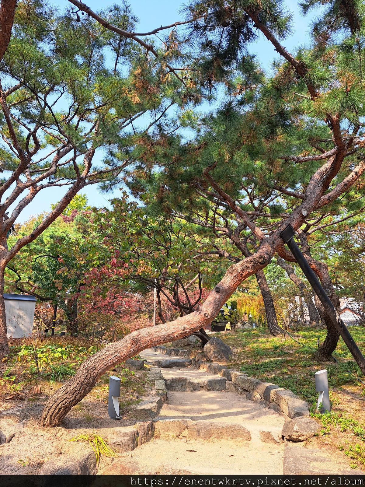 【首爾自由行丨韓國旅遊】韓國秋天限定美景。秋季賞楓景點丨德壽 【首爾自由行丨韓國旅遊】韓國秋天限定美景。秋季賞楓景點丨德壽