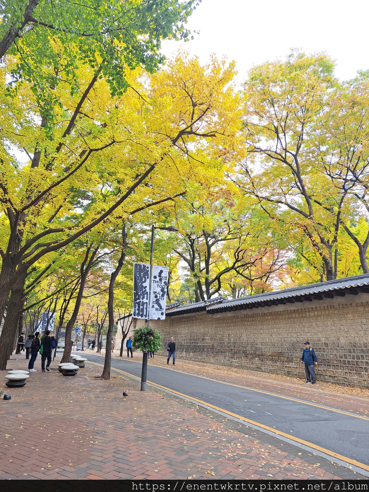 【首爾自由行丨韓國旅遊】韓國秋天限定美景。秋季賞楓景點丨德壽 【首爾自由行丨韓國旅遊】韓國秋天限定美景。秋季賞楓景點丨德壽