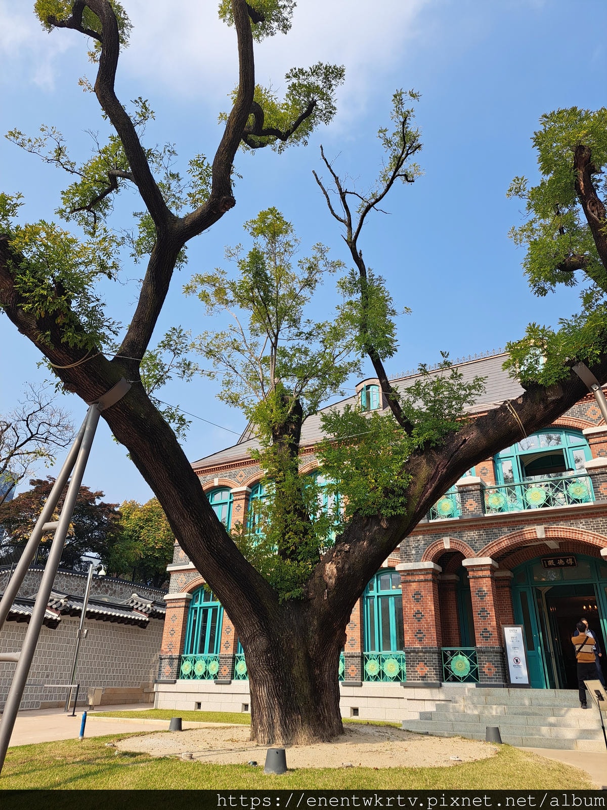 【首爾自由行丨韓國旅遊】韓國秋天限定美景。秋季賞楓景點丨德壽 【首爾自由行丨韓國旅遊】韓國秋天限定美景。秋季賞楓景點丨德壽