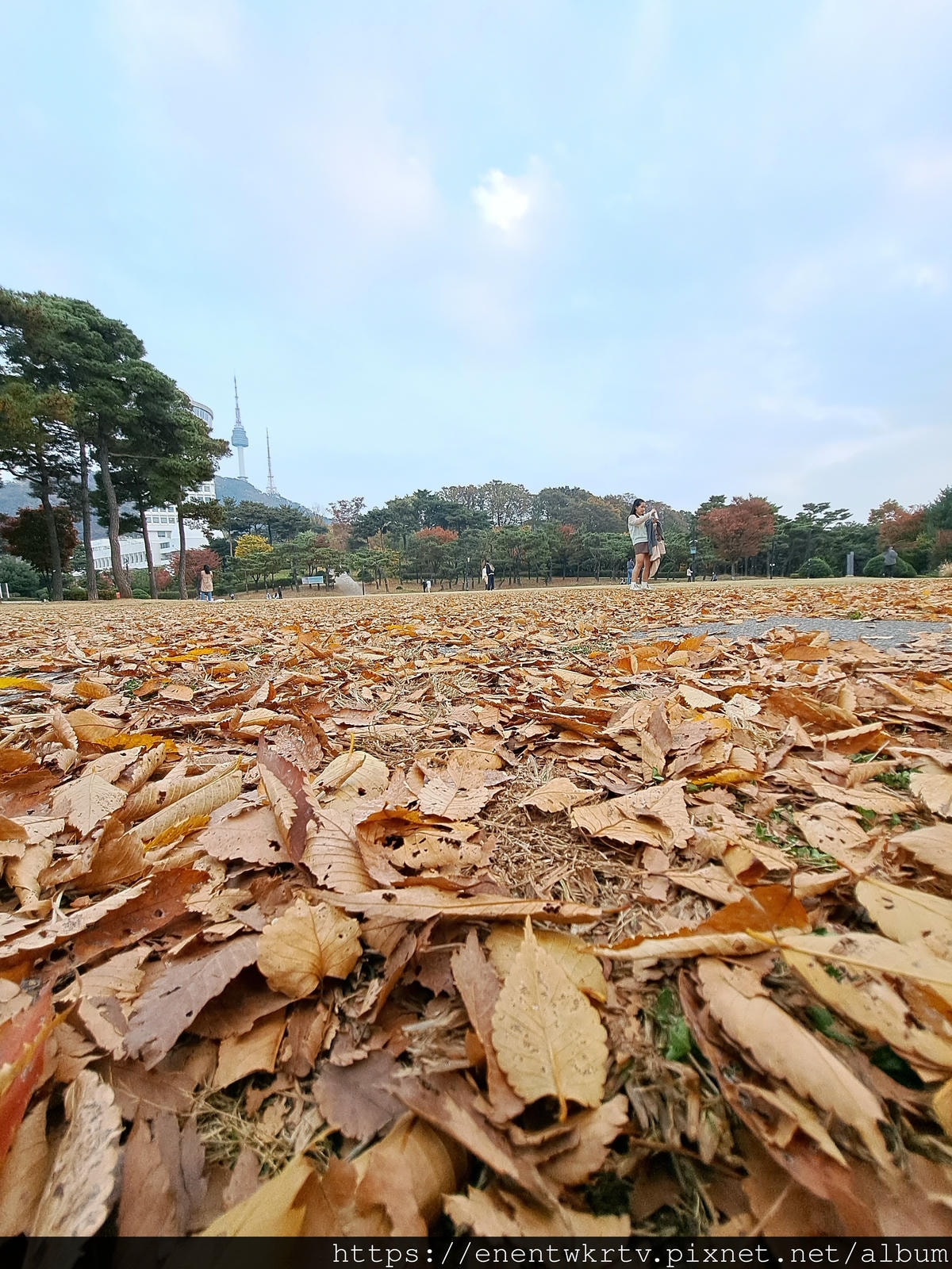 【首爾自由行丨韓國旅遊丨韓國秋天限定賞楓景點】首爾南山白凡廣 【首爾自由行丨韓國旅遊丨韓國秋天限定賞楓景點】首爾南山白凡廣