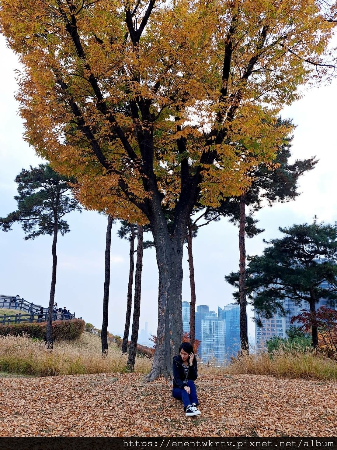 【首爾自由行丨韓國旅遊丨韓國秋天限定賞楓景點】首爾南山白凡廣 【首爾自由行丨韓國旅遊丨韓國秋天限定賞楓景點】首爾南山白凡廣