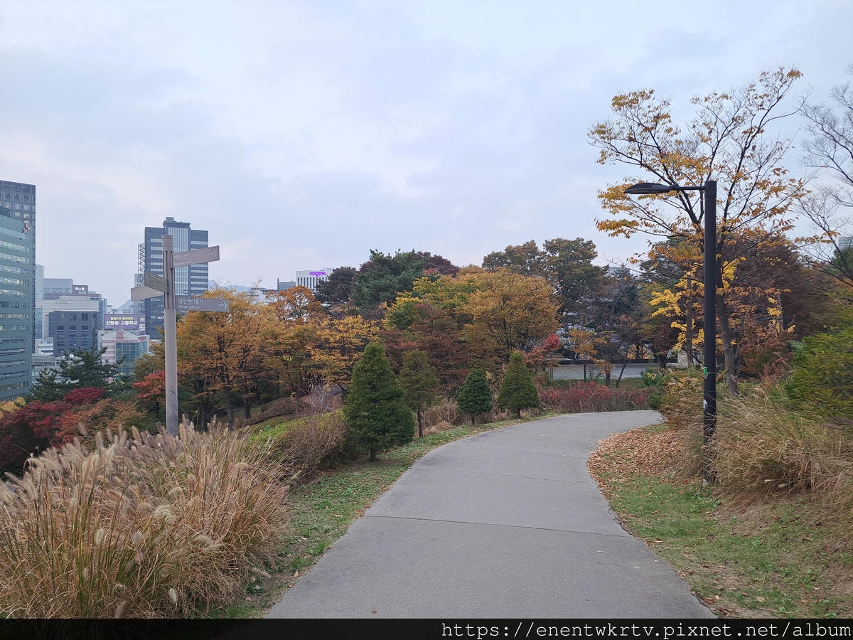 【首爾自由行丨韓國旅遊丨韓國秋天限定賞楓景點】首爾南山白凡廣 【首爾自由行丨韓國旅遊丨韓國秋天限定賞楓景點】首爾南山白凡廣